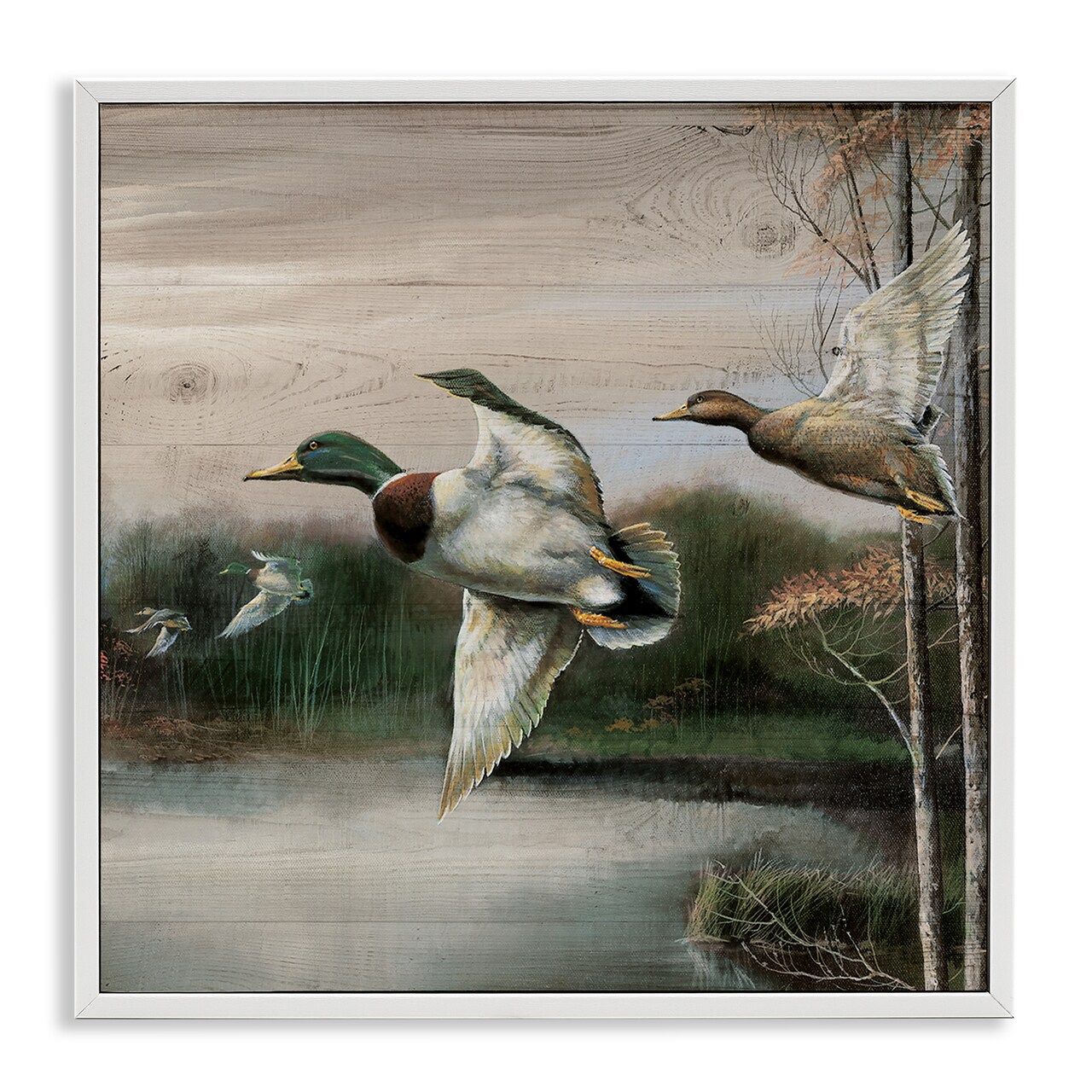 Stupell Industries Flying Ducks in Rustic Nature Framed Giclee Design by Ruane Manning
